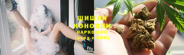 прущий лед Богданович