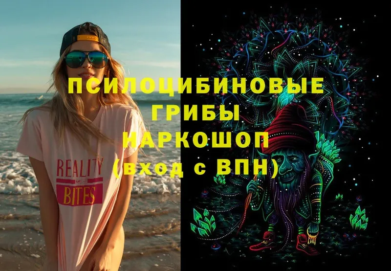 хочу   Бугуруслан  Галлюциногенные грибы Magic Shrooms 